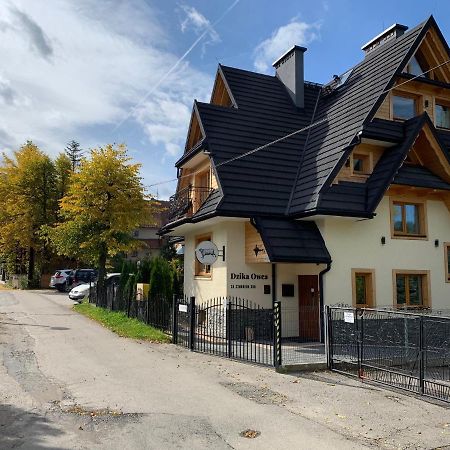 Dzika Owca Apartment Zakopane Exterior photo