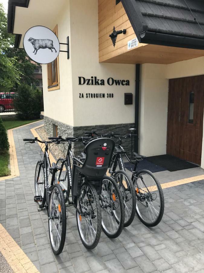 Dzika Owca Apartment Zakopane Exterior photo